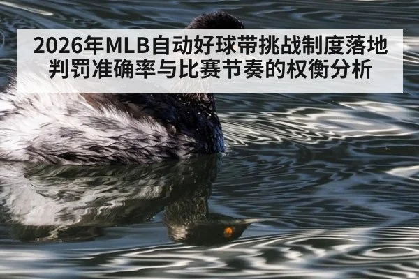 2026年MLB自动好球带挑战制度落地 判罚准确率与比赛节奏的权衡分析